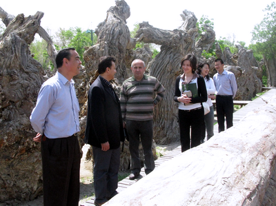 圖片關(guān)鍵詞