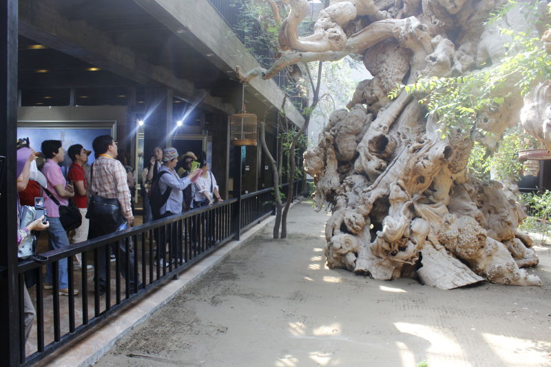 圖片關(guān)鍵詞