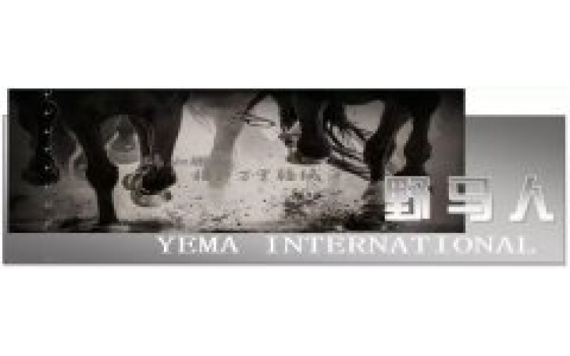 慶祝建黨100周年丨我們在野馬為黨慶生！