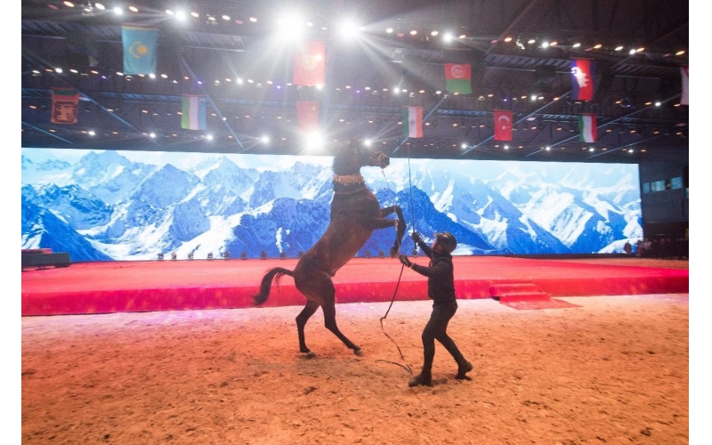 住馬酒店、吃馬肉腸、喝馬奶粉、品馬奶酒--