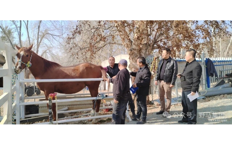 政策支持 企業(yè)發(fā)力 農(nóng)民受益&mdash;&mdash;現(xiàn)代畜禽種業(yè)提升專項(xiàng)資金項(xiàng)目成效顯著