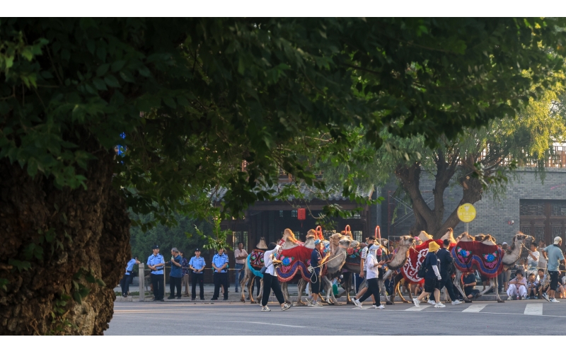 伊犁州霍城古城
